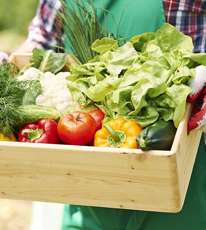 03 alimentazione mondo wellness verdura fresca